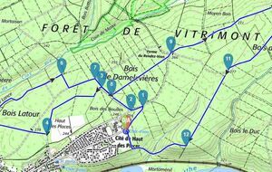 Blainville Haut des places - 10 km - GD