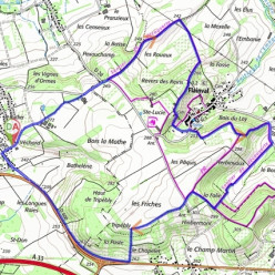 Dombasle Seille 9,2 km EG